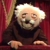 waldorf